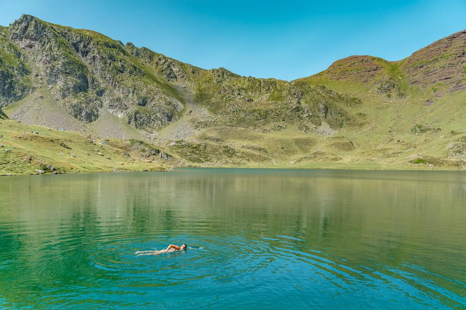 Jak wprowadzić elements wild swimming do życia przedsiębiorcy